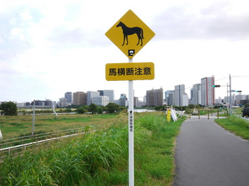 馬横断注意.jpg